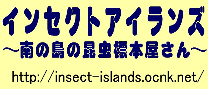 Insect Islands 〜南の島の昆虫標本屋さん〜